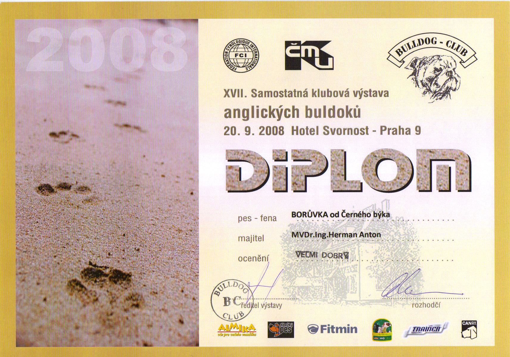 diplom 