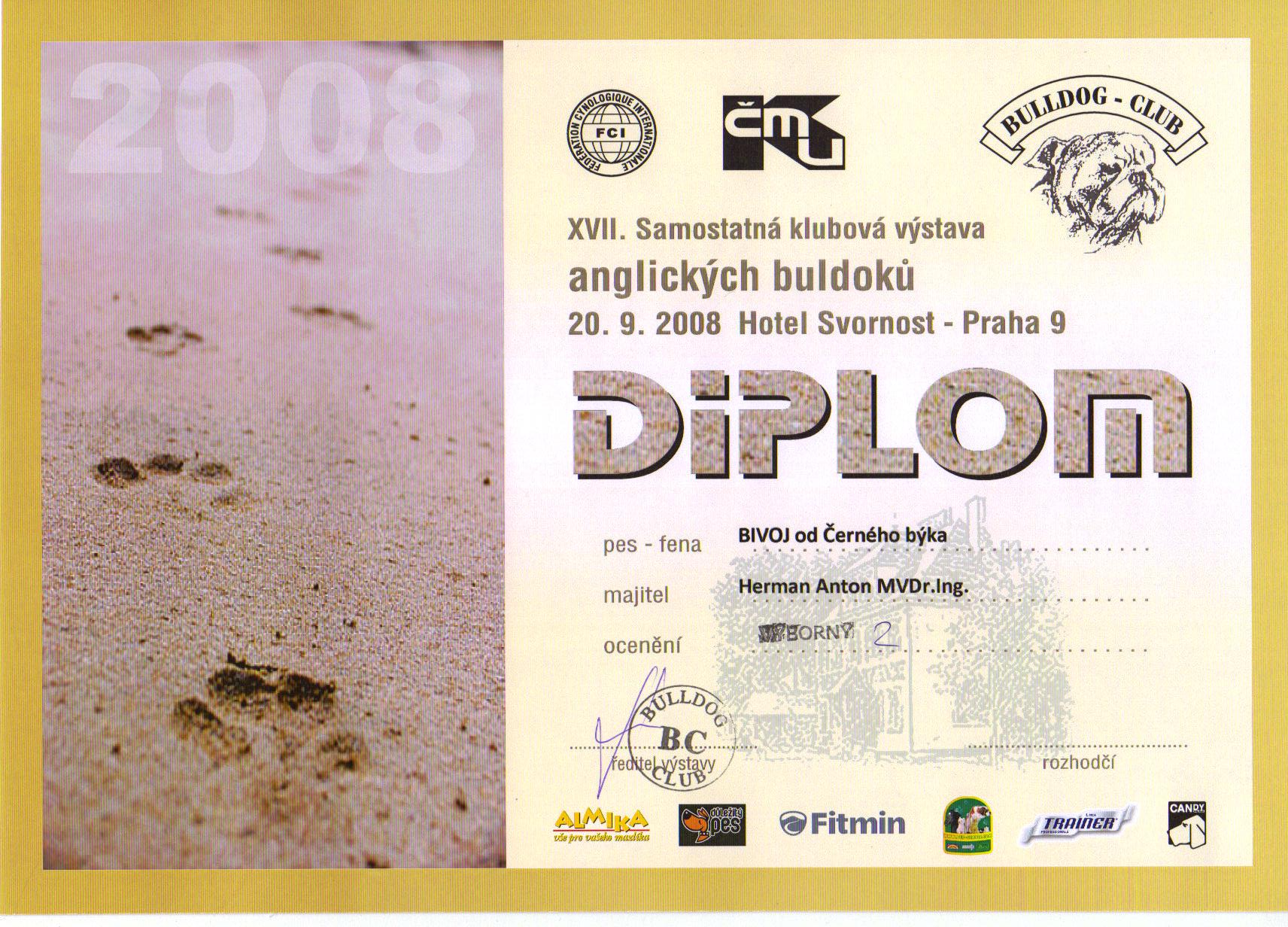 diplom 2